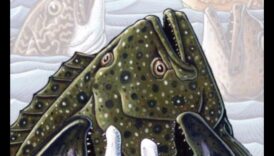 سجلات الحفاظ على الأسماك: الجهود المبذولة لحماية الأنواع المهددة بالانقراض