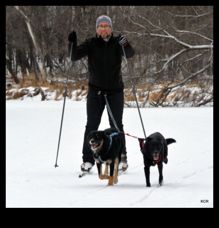 اللياقة البدنية Fidos: الحفاظ على كلبك نشطًا وصحيًا