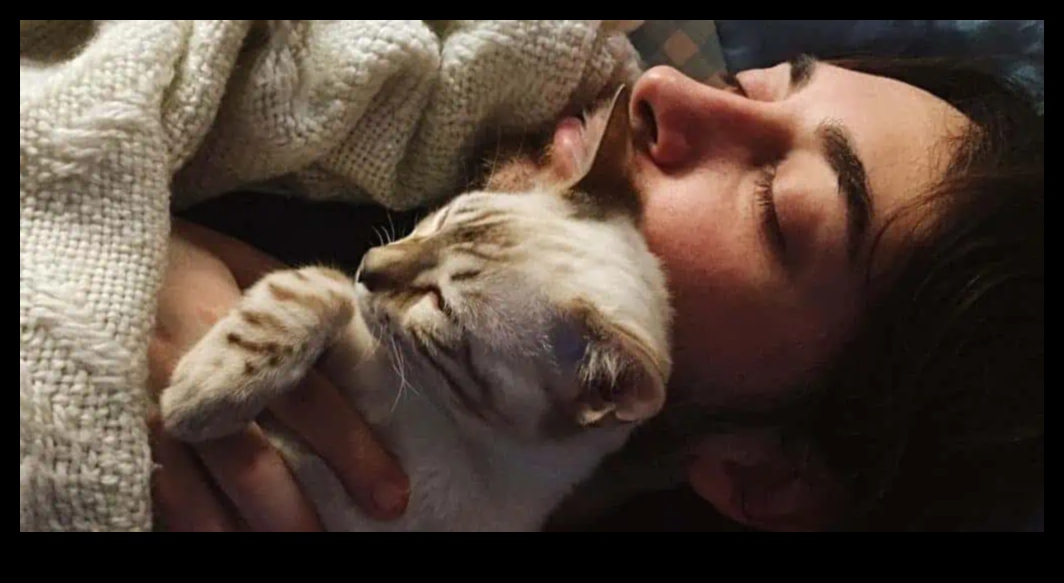 الرفاق المحبوبون: بناء روابط قوية مع القطط المتعددة