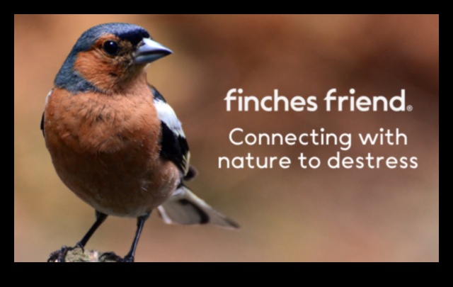 الصفاء نحو السماء: التأثير المهدئ لمشاهدة الطيور