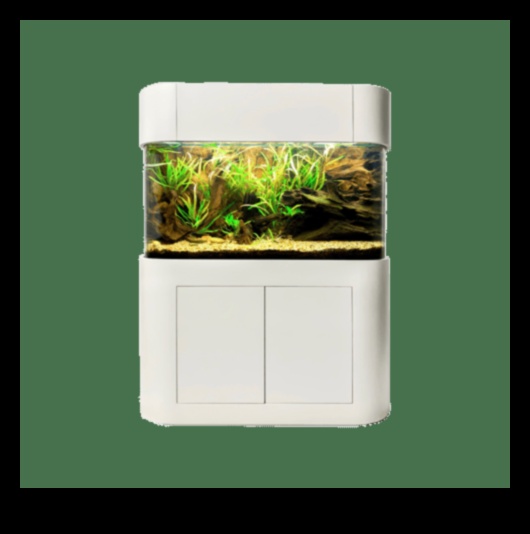 فجوة إكسسوارات أكوا: إنشاء زاوية أنيقة في حوض السمك الخاص بك