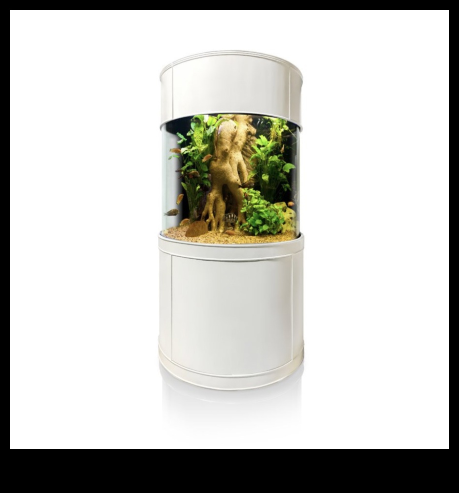 فجوة إكسسوارات أكوا: إنشاء زاوية أنيقة في حوض السمك الخاص بك