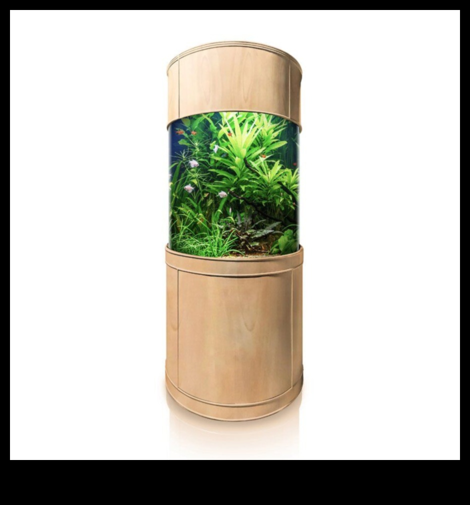 فجوة إكسسوارات أكوا: إنشاء زاوية أنيقة في حوض السمك الخاص بك