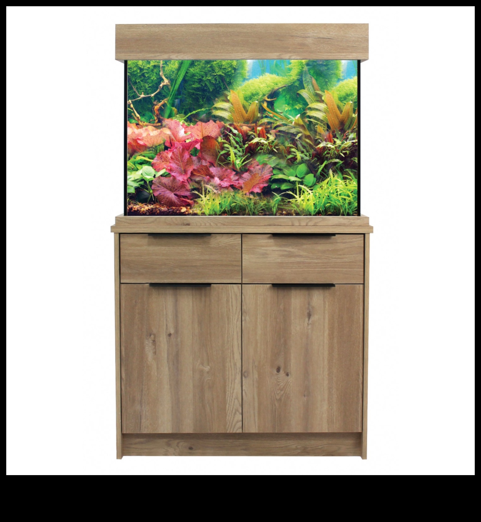 فجوة إكسسوارات أكوا: إنشاء زاوية أنيقة في حوض السمك الخاص بك