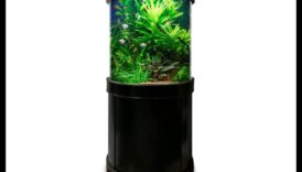 فجوة إكسسوارات أكوا: إنشاء زاوية أنيقة في حوض السمك الخاص بك