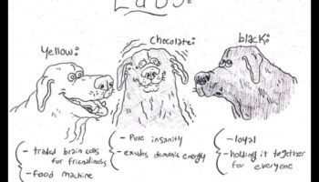 رسومات الشعار المبتكرة هزلية: التقاط شخصية كلبك في الفن