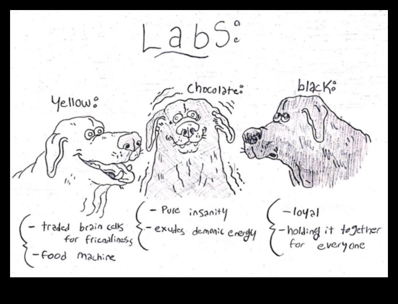 رسومات الشعار المبتكرة هزلية: التقاط شخصية كلبك في الفن