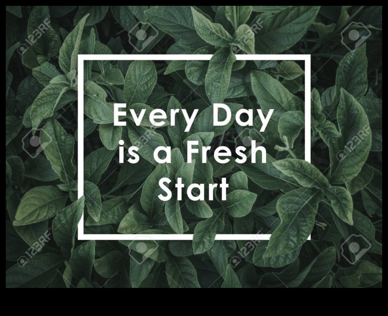 احتفال الصباح بالخضار: ابدأ يومك بعصائر الخضروات الطازجة