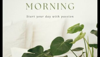 احتفال الصباح بالخضار: ابدأ يومك بعصائر الخضروات الطازجة