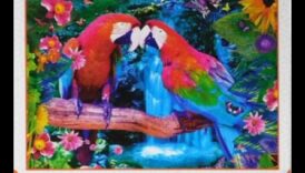 الببغاء لغز الجنة: ألعاب الدماغ للطيور الذكية والاجتماعية