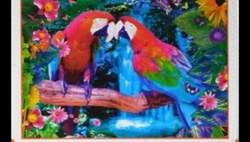 الببغاء لغز الجنة: ألعاب الدماغ للطيور الذكية والاجتماعية