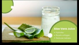 إحياء الصباح: ابدأ يومك بسحر الترطيب الذي توفره مشروبات الصبار