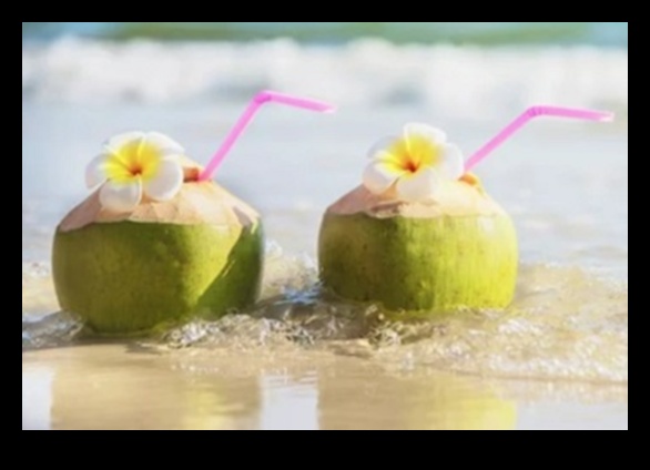 إكسير جوز الهند: اكتشاف الخير الطبيعي لمياه جوز الهند الطازجة