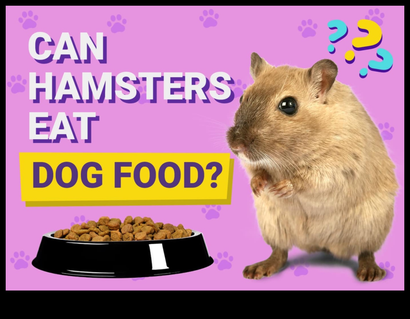 معضلات النظام الغذائي للهامستر: المفاهيم الخاطئة الشائعة وأساطير التغذية