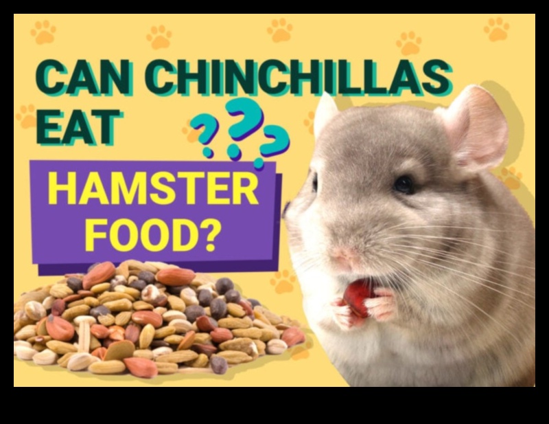 معضلات النظام الغذائي للهامستر: المفاهيم الخاطئة الشائعة وأساطير التغذية