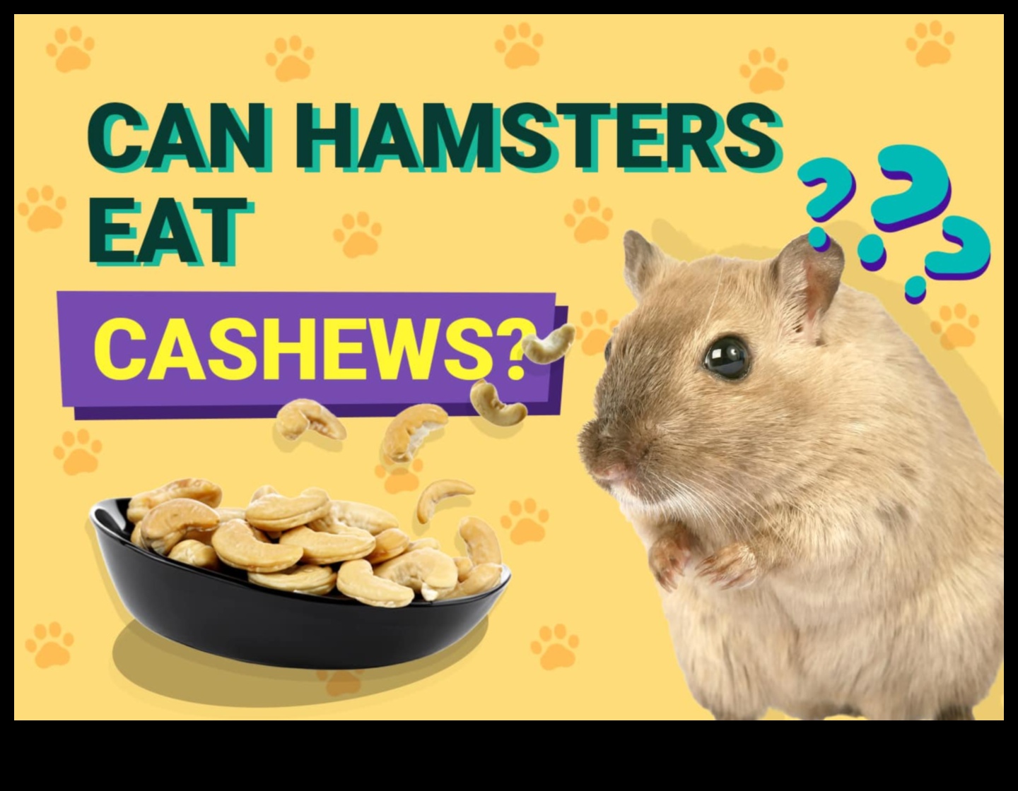 معضلات النظام الغذائي للهامستر: المفاهيم الخاطئة الشائعة وأساطير التغذية