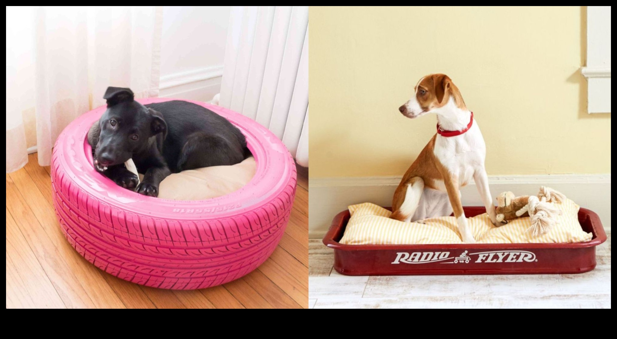 أسرة الكلاب التي تصنعها بنفسك: إنشاء مساحات نوم مريحة لكلبك