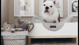 أسرة الكلاب التي تصنعها بنفسك: إنشاء مساحات نوم مريحة لكلبك