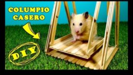 تابع ألعاب الهامستر التي تصنعها بنفسك: أفكار صديقة للبيئة وتفاعلية