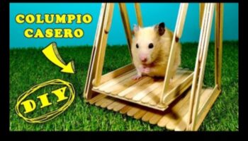 تابع ألعاب الهامستر التي تصنعها بنفسك: أفكار صديقة للبيئة وتفاعلية