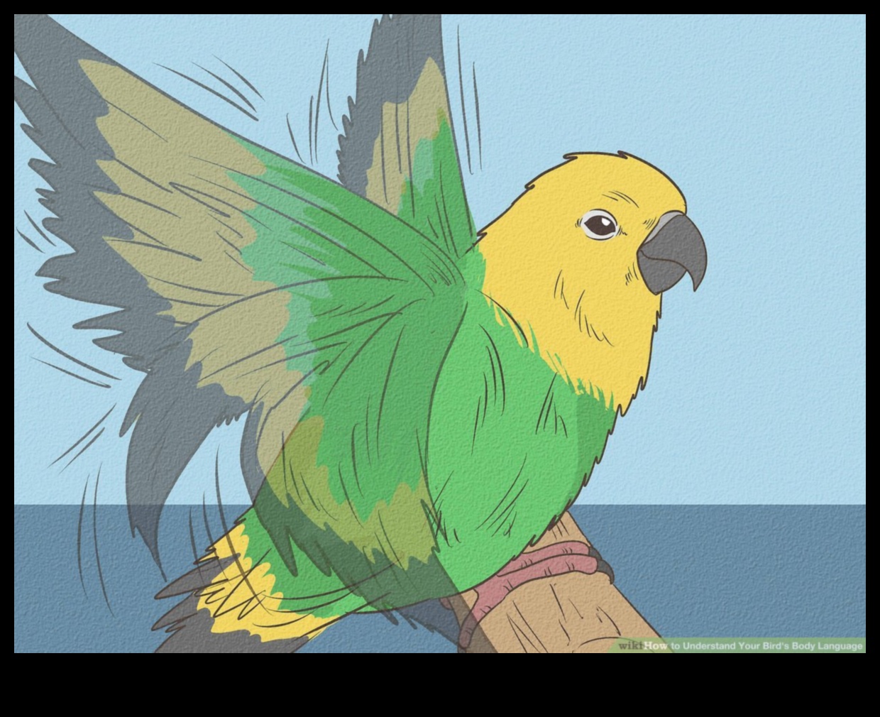 لغة الطيور 2.0: فتح اكتشافات جديدة في اتصالات الطيور