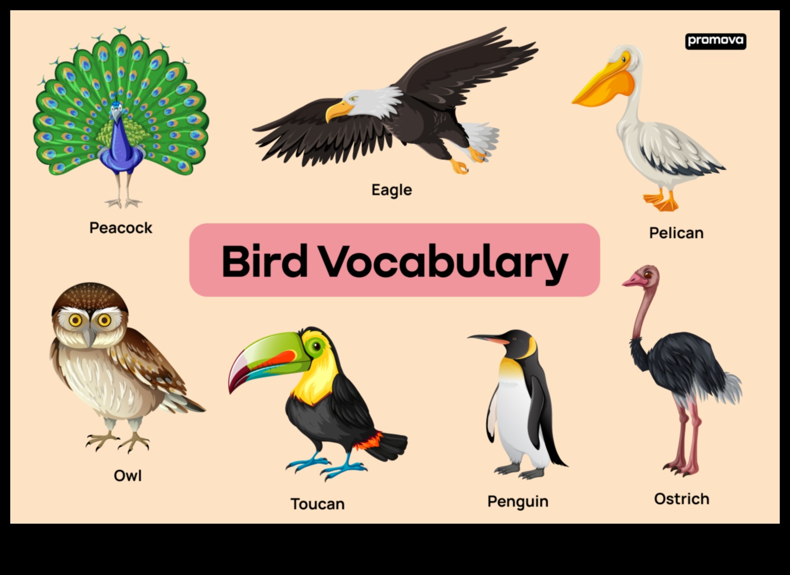 تابع العائلات ذات الريش: أدوار الوالدين في أنواع الطيور المختلفة