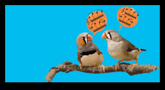 لغة الطيور 2.0: فتح اكتشافات جديدة في اتصالات الطيور